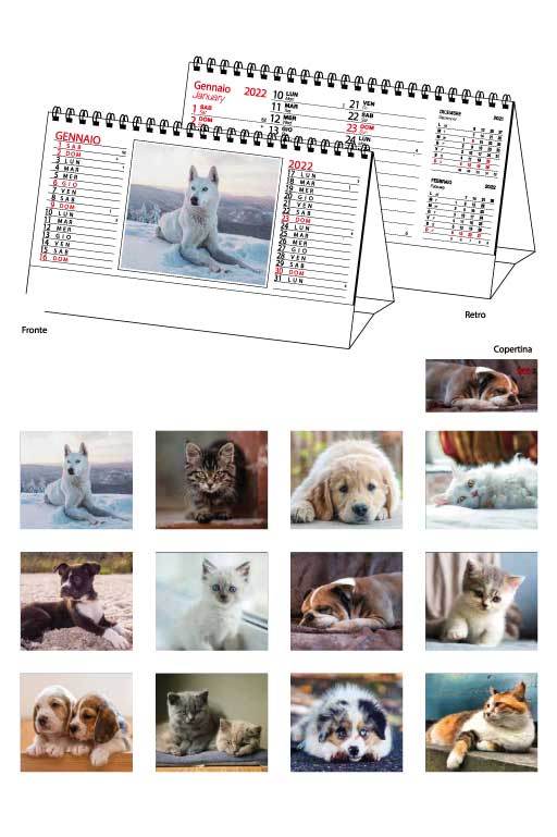Calendario da Banco Cani & Gatti